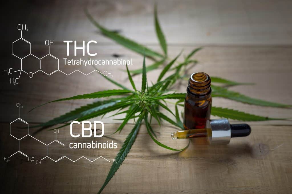 Medicinal cannabis with extract oil in a bottle of Formula CBD