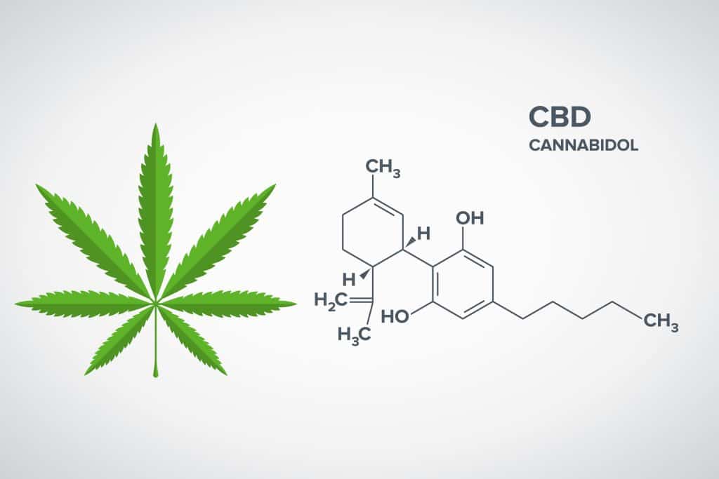 Cannabidiol - CBD - Structural Sceletal Formula With Marijuana Leaf Drug Icon