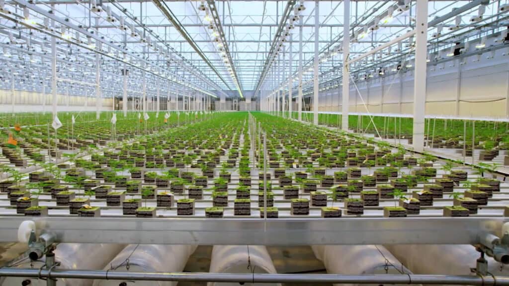 Production Facility