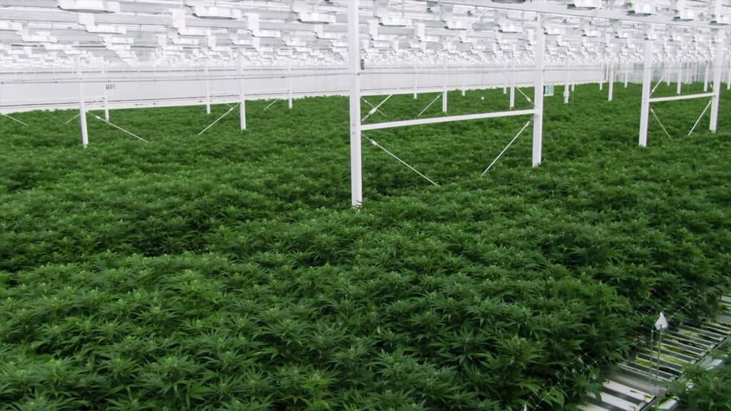 Production Facility